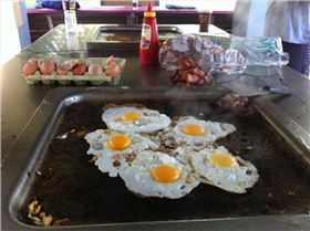 Breaky with the POSSE!