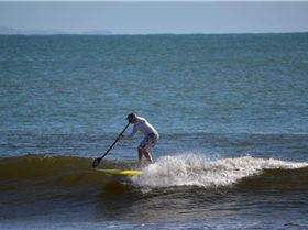 Stand Up Paddle