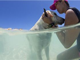 Fiji March 2012 Frida