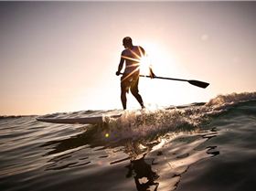 Stand Up Paddle