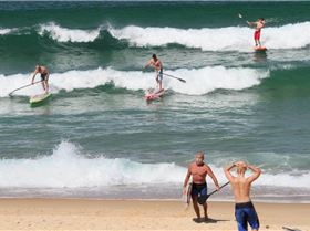 Stand Up Paddle