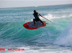 GONGSUP111106244-2-0c891