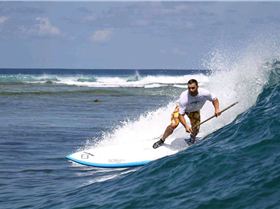 Stand Up Paddle