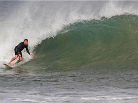 558728 403131676366022 100000075781723 1639585 1964377298 n[2]