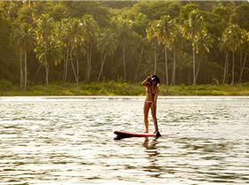 MRW MNTWS PAO CPN 2010-06-18 0906