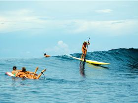 MRW MNTWS LTS DWK 2010-06-16 61D0242