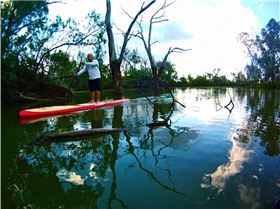 14 x 30 TOURING wood - STARBOARD