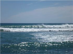 here are a few pics of the board and I having some fun i think i will just replace it