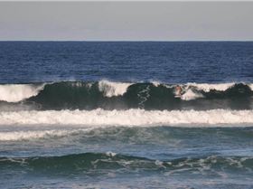 574918 10150767273393063 1314122770 n