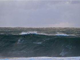 mfsprout 20120606 143