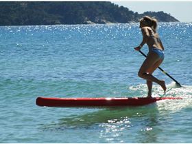 472958 3663193571494 119367862 o