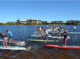 Stand Up Paddle