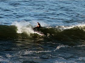 410998 10151770329888797 1147811518 o