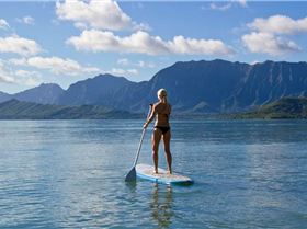 458599 10150824743131763 892551351 o