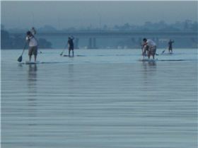 Stand Up Paddle