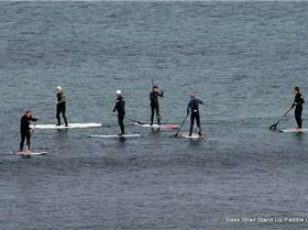 Stand Up Paddle