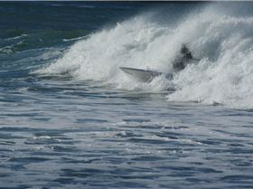 Prowave  - Shack Bay - wipeout