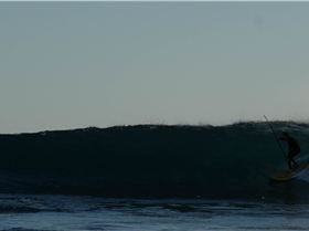 Ernie MGR shreeder  riding 8 footer