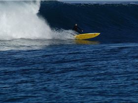 LAZA and LANGA Sup it  young guns towed in
