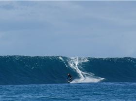 LAZA LANGA  6 to 8 foot