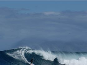 LAZA LANGA  6 to 8 foot