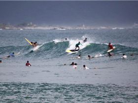 225124 10151119736782866 354679791 n