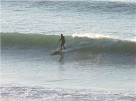 Mako 15 Sept 2012 (10)