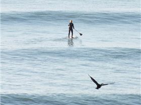 Mako 15 Sept 2012 (30)