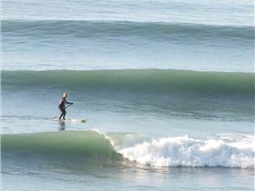 Mako 15 Sept 2012 (32)