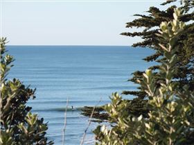 Mako 15 Sept 2012 (21)