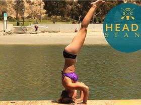 317656 417874528272257 449120192 n