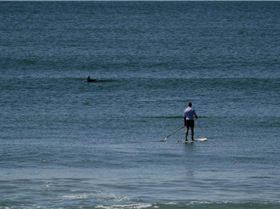 560787 429349147124829 1666706709 n