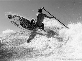 408734 434506903253362 278003584 n