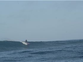 LAZA and LANGA 21.10.2012