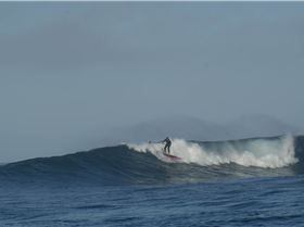 LAZA and LANGY 21.10.2012