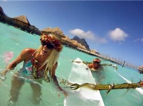 428199 10100619583586412 21419602 n