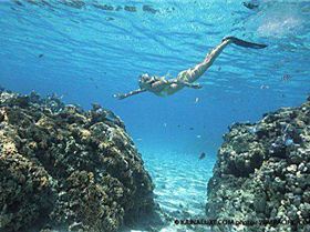 269036 10100259737705442 4836925 n