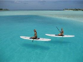 8231 167260381562 6005342 n