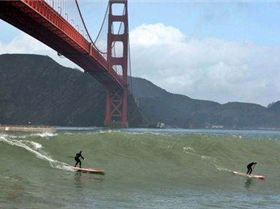 6a00d83451cb8069e20154333c0b74970c-500wi