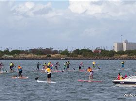 SUP VIC 2012 Great Melbourne Paddle