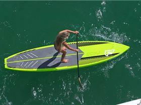 large 1125 Ray 800x450