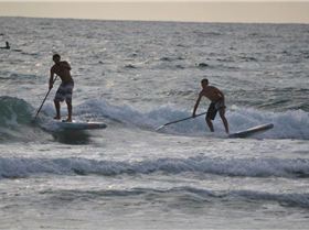Stand Up Paddle