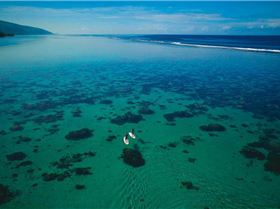 582421 332849456823773 1172846888 n