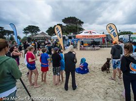 Port Phillip Cup (1 of 1)-6