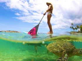 556696 319783678130351 34663100 n