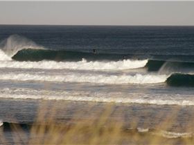 Heaving 6 TO 8 FOOT Langy