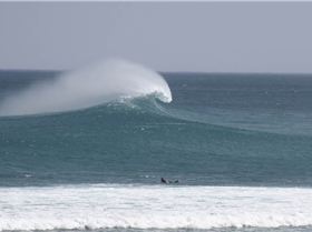 Heaving 6 TO 8 FOOT Langa