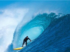 jp gnarloo-0827-Scott.jpg 1