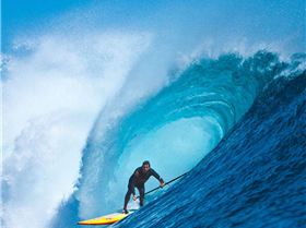 jp10-gnarloo-0827-scott