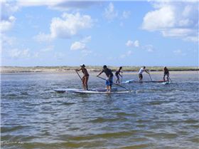Stand Up Paddle